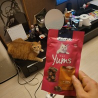 ŸũƮ Ĺ ġŲ&Ĺ׶ 40g ̿ ı