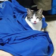 ׸ ʶ Ż Ʈ  130g ̿ ı