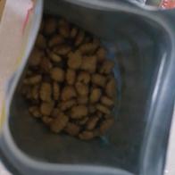 ׸ ʶ Ż Ʈ  130g ̿ ı