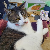 ׸ ʶ Ż Ʈ  130g ̿ ı