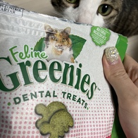 ׸ ʶ Ż Ʈ  130g ̿ ı