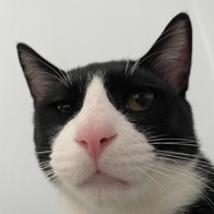 ׸ ʶ Ż Ʈ  130g ̿ ı