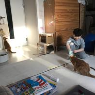 ׸ ʶ Ż Ʈ  130g ̿ ı