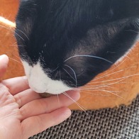 ׸ ʶ Ż Ʈ  130g ̿ ı