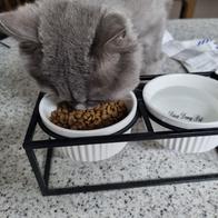 ĭ Ĺ  ׷ ս ôϾ 6.5kg ̿ ı