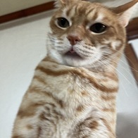 ���� �ö���Ĺ �� ���� ���ô� �̿� �ı�