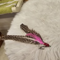 ���� �ö���Ĺ �� ���� ���ô� �̿� �ı�