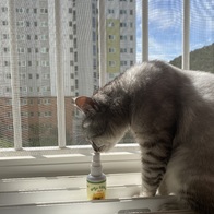   Ĺ  60ml ̿ ı