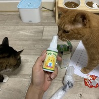   Ĺ  60ml ̿ ı