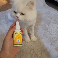   Ĺ  60ml ̿ ı