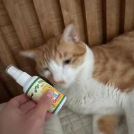   Ĺ  60ml ̿ ı