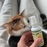   Ĺ  60ml ̿ ı