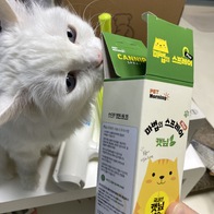   Ĺ  60ml ̿ ı