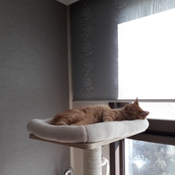 ���� 4�� �ϴ��Ͽ콺 ���� ĹŸ�� PMC-6511 (�漮&��Ʈ ����) �̿� �ı�