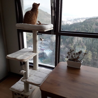 ���� 4�� �ϴ��Ͽ콺 ���� ĹŸ�� PMC-6511 (�漮&��Ʈ ����) �̿� �ı�