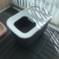 ��� ȩ�� ȭ��� �׷��� �̿� �ı�