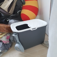 ��� ȩ�� ȭ��� �׷��� �̿� �ı�