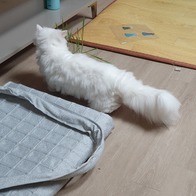 Ÿ ׷ 輼Ʈ  ̿ ı