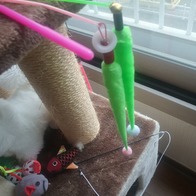 ����Ÿ�� ���� 3�� ��ũ���� ���ô� ���󷣴� �̿� �ı�