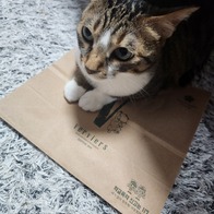 ����Ÿ�� ���� 3�� ��ũ���� ���ô� ���󷣴� �̿� �ı�