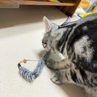 ����Ÿ�� ���� 3�� ��ũ���� ���ô� ���󷣴� �̿� �ı�