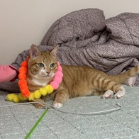 �������� ���� ��ũ���� ���&������ũ �̿� �ı�