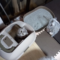 Ʈ Ÿ̴  7kg ̿ ı