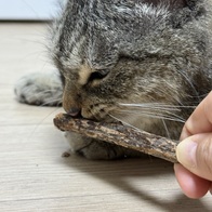  ߴ    峭 ̿ ı