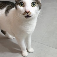 ī Ŀġ 5 ޺ 24 ̿ ı