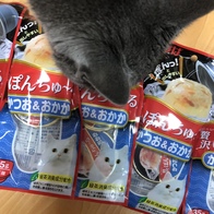 ̳ Ÿũ í  ٶ&ٶ 35g x 2 ̿ ı