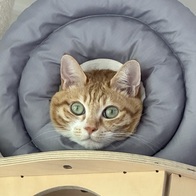 ���� �߰����� ���ٶ���� 22g �̿� �ı�