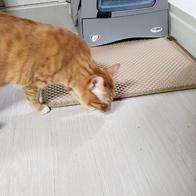 İ ǹ  9.5kg ̿ ı