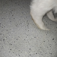 İ ǹ  9.5kg ̿ ı