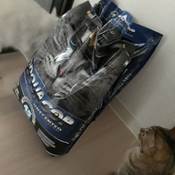 İ ǹ  9.5kg ̿ ı