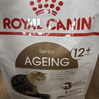 ξĳ ̻ 4kg 3.5kg Űư ε 7+ Ʈ  Ʈ Ʈ ̺Ĺ ʸ  丣þ  ̿ ı