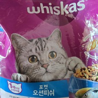 ī  Ʈ ǽ 3kg ̿ ı