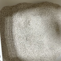 κζĹ ؼ  2.6kg x 6 ̿ ı