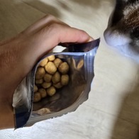 ǻ���� ��Ż������ ���� Ĺ Ʈ�� 51g �̿� �ı�