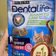 ǻ���� ��Ż������ ���� Ĺ Ʈ�� 51g �̿� �ı�