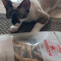    80g ̿ ı