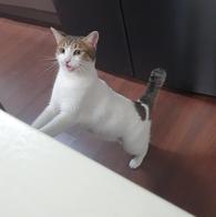    80g ̿ ı