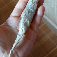    80g ̿ ı