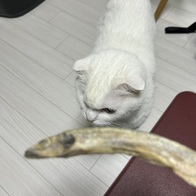    80g ̿ ı