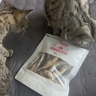    80g ̿ ı