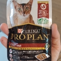 ı