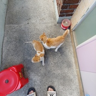 ο  ġ& Ŀġ50g ̿ ı