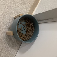 ǻ Ĺ ġŲ 5kg ̿ ı