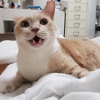 ǻ Ĺ ġŲ 5kg ̿ ı