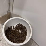 ǻ Ĺ ġŲ 5kg ̿ ı