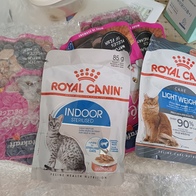 ��Ÿũ����Ʈ ������ �����ҽ� 5�� �޺� �Ŀ�ġ �̿� �ı�